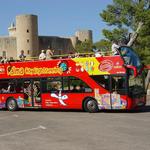 Hop-On Hop-Off Bus Tour of Palma
