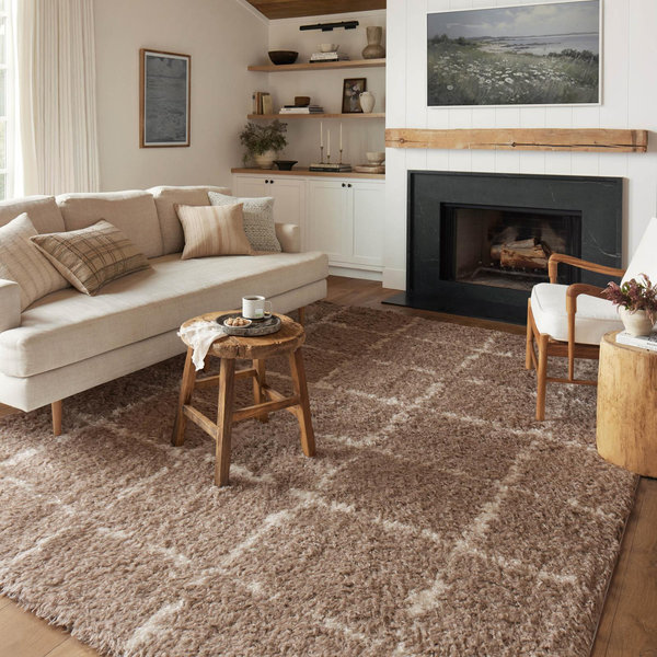 Loloi Rugs, Angela Rose Amira Area Rug | Zola