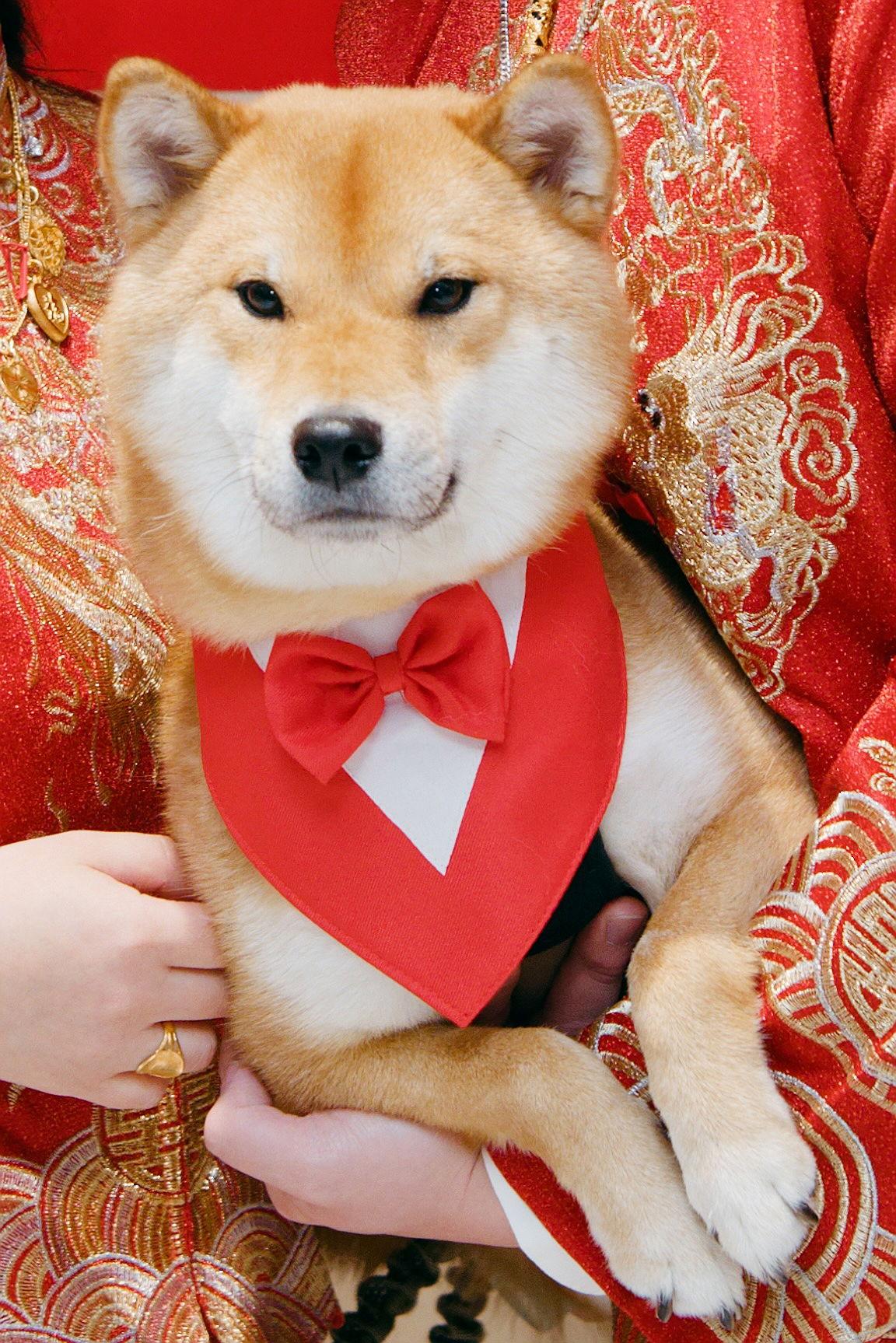 The Wedding Website of Erica Lei and Henry Tse