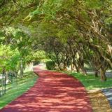 Katy Trail