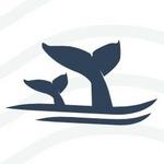 San Diego Whale Watch