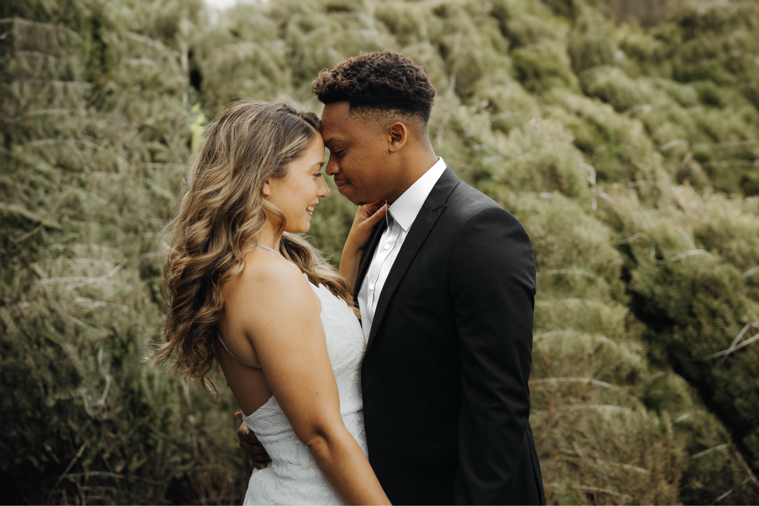The Wedding Website of Nathaniel Carter and Susan Carter