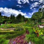 Red Butte Garden