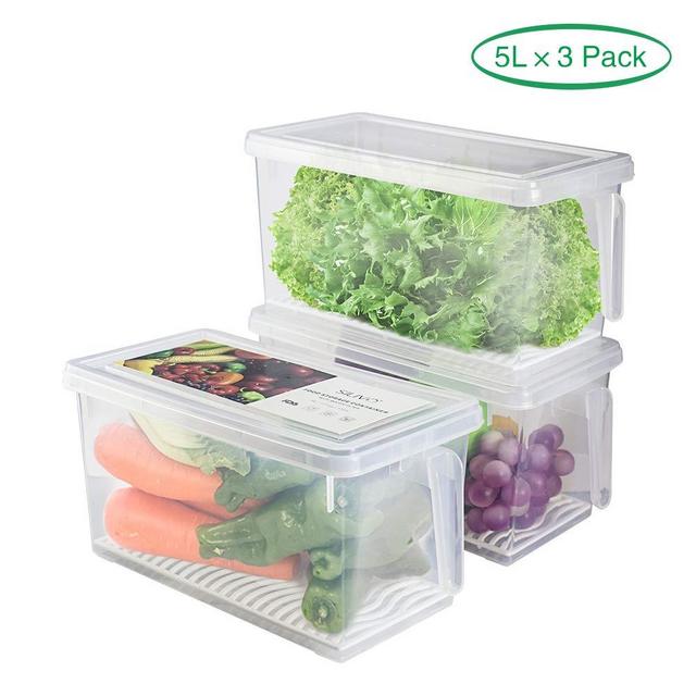 Blisz 4Pcs Fridge Storage Boxes Fridge Organizer, Airtight Container With  Removable Drain Plate And Stackable lid