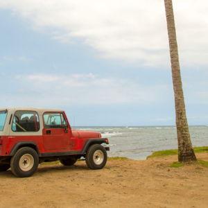 Honeymoon Transportation