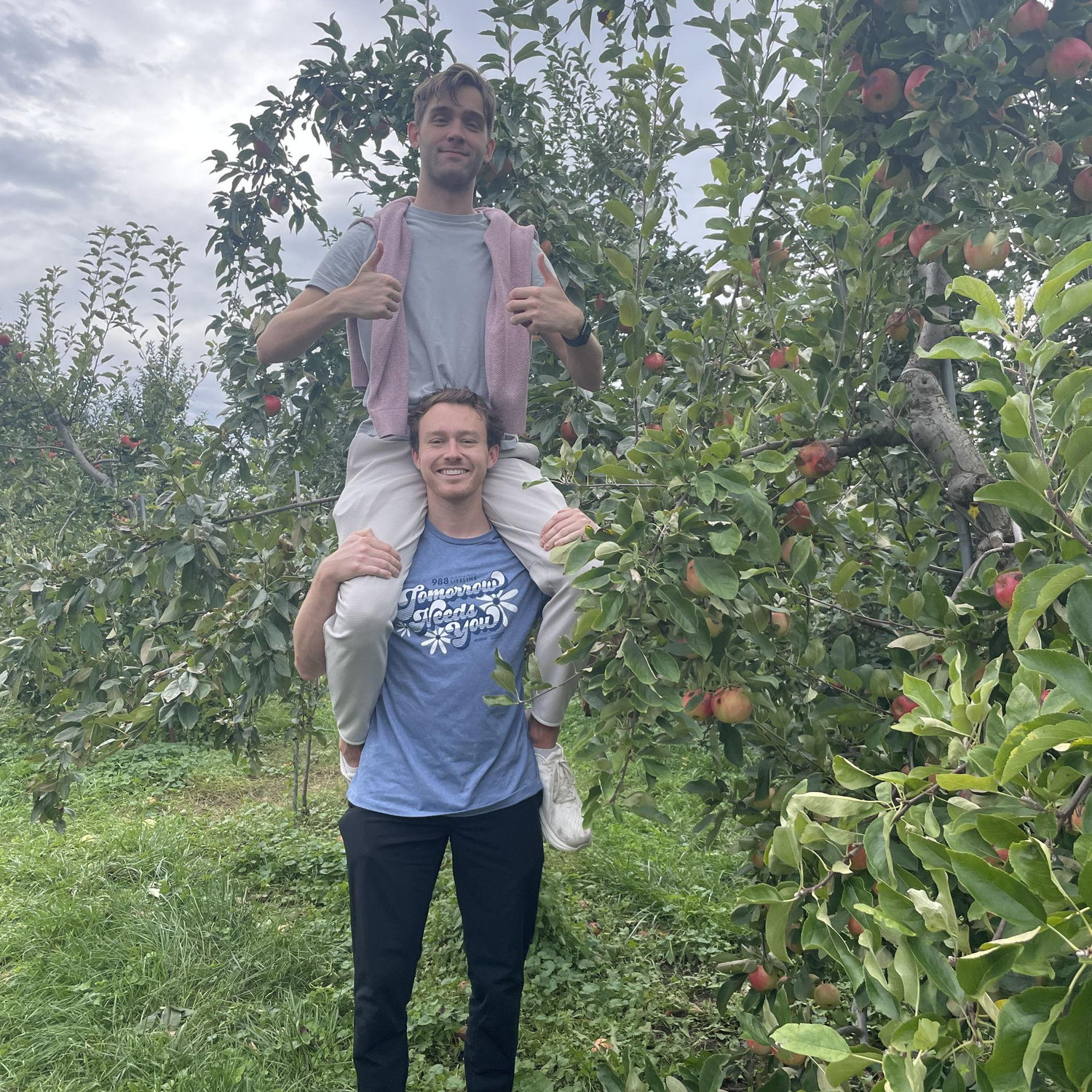 Apple picking in Massachusetts
