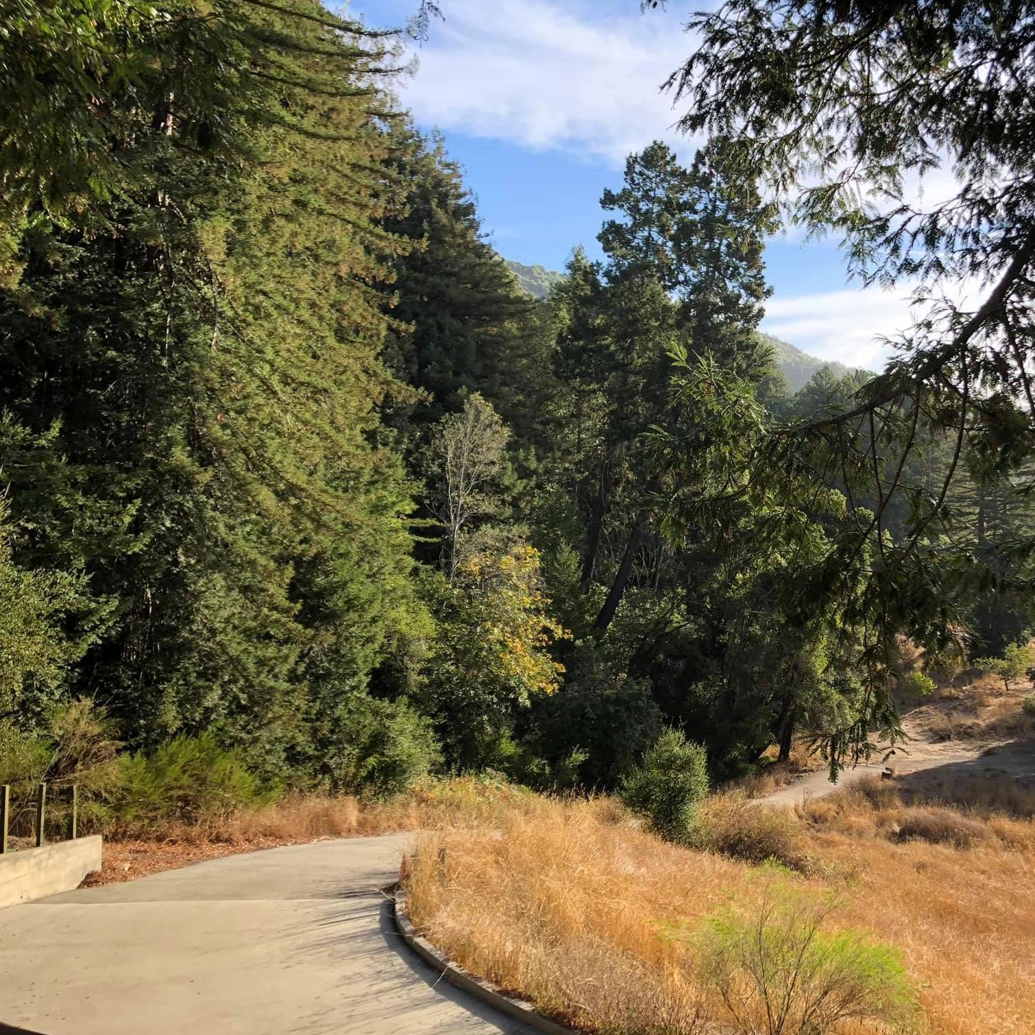 The road to Camp Hope