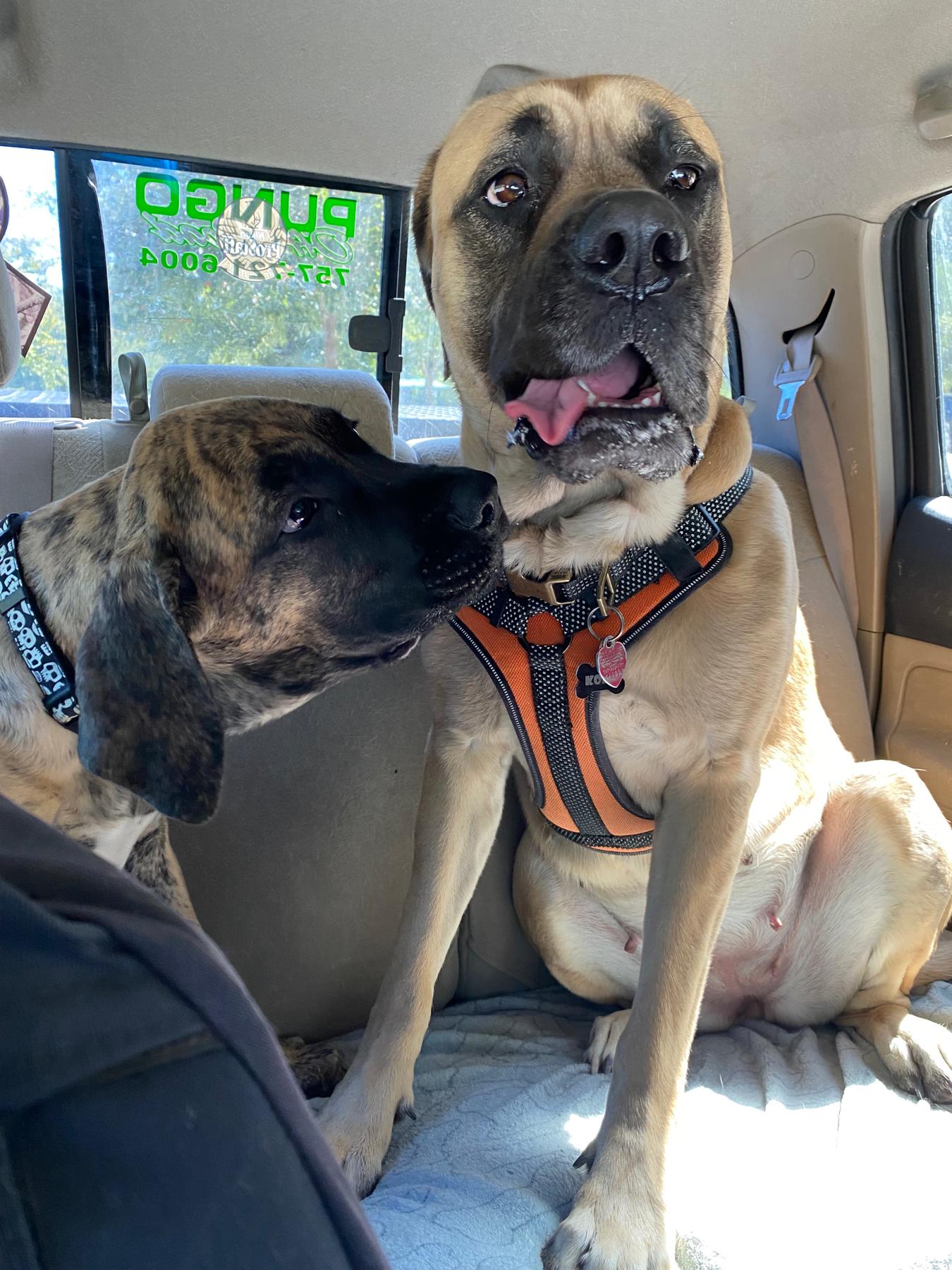 On our way to the next adventure
