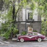 Parque México & La Condesa