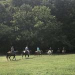 Pere Marquette Riding Stables