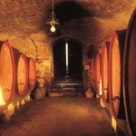 Historic Cellars of the Underground City