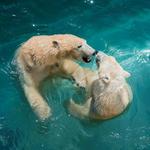 Columbus Zoo and Aquarium