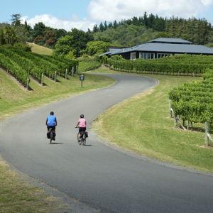 NZ Wine Trail Bike Ride & Tastings