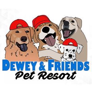 Doggy Daycare