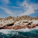 Islas Ballestas