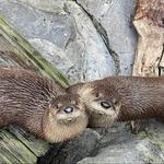 South Carolina Aquarium