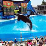 SeaWorld San Diego