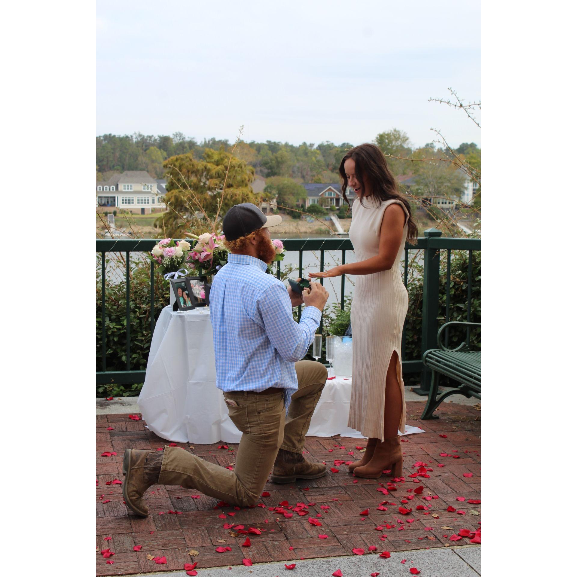 "The Proposal"
