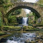 Jesmond Dene