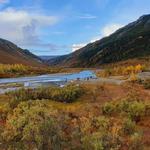 Savage River Trailhead