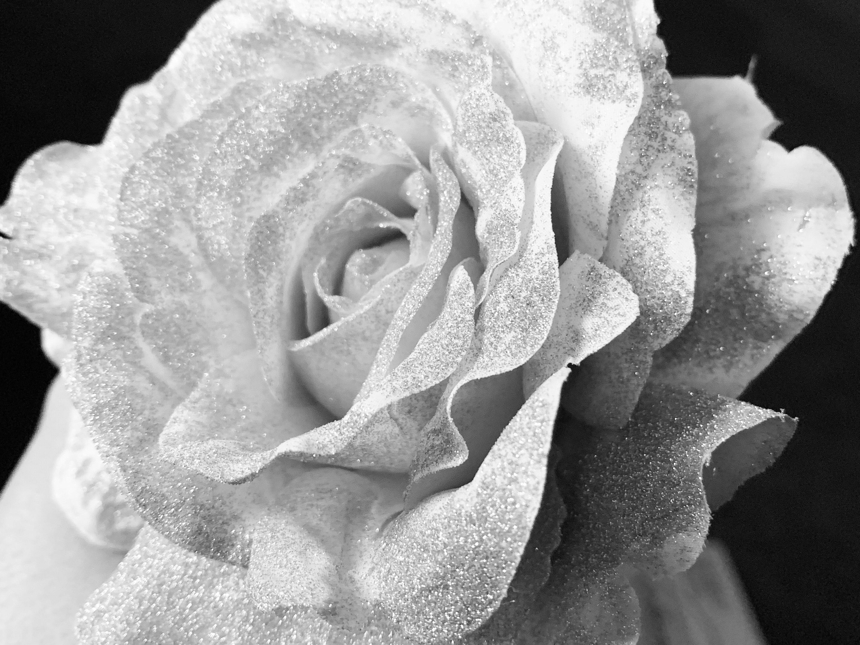 The Wedding Website of Jazmine Roland and Fernando Anguiano