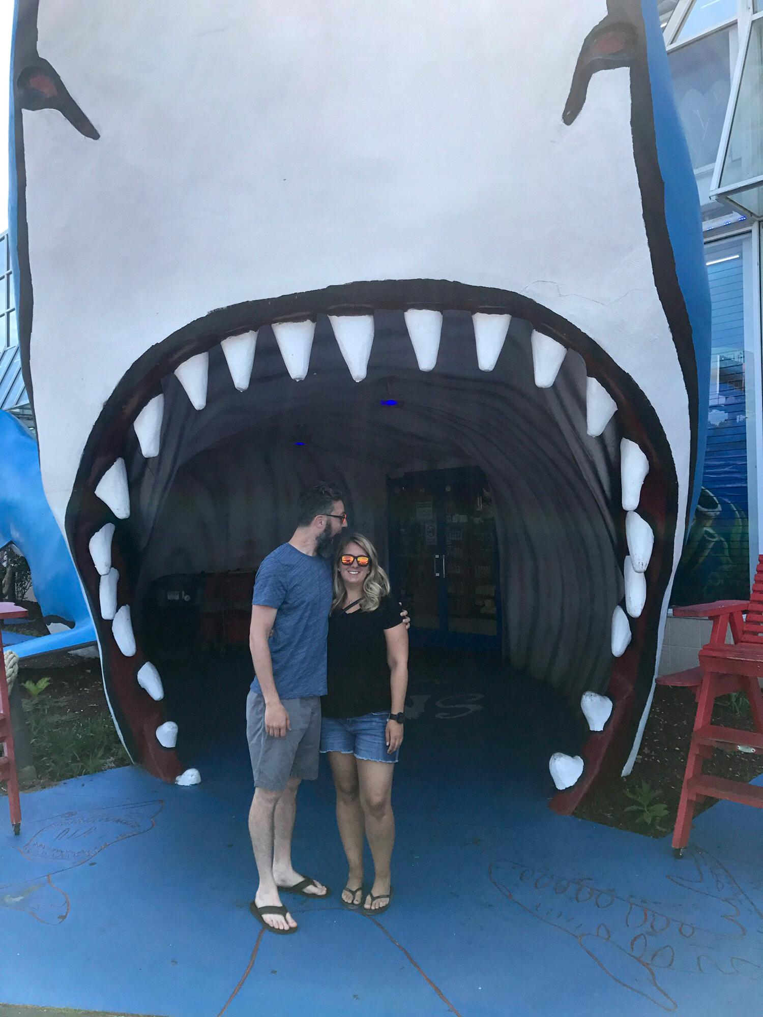Shark bait in Myrtle Beach, SC - July 2018
