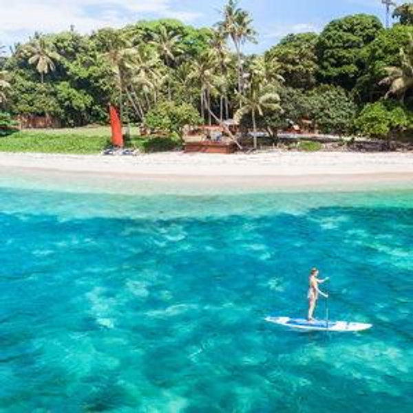 Paddle Board
