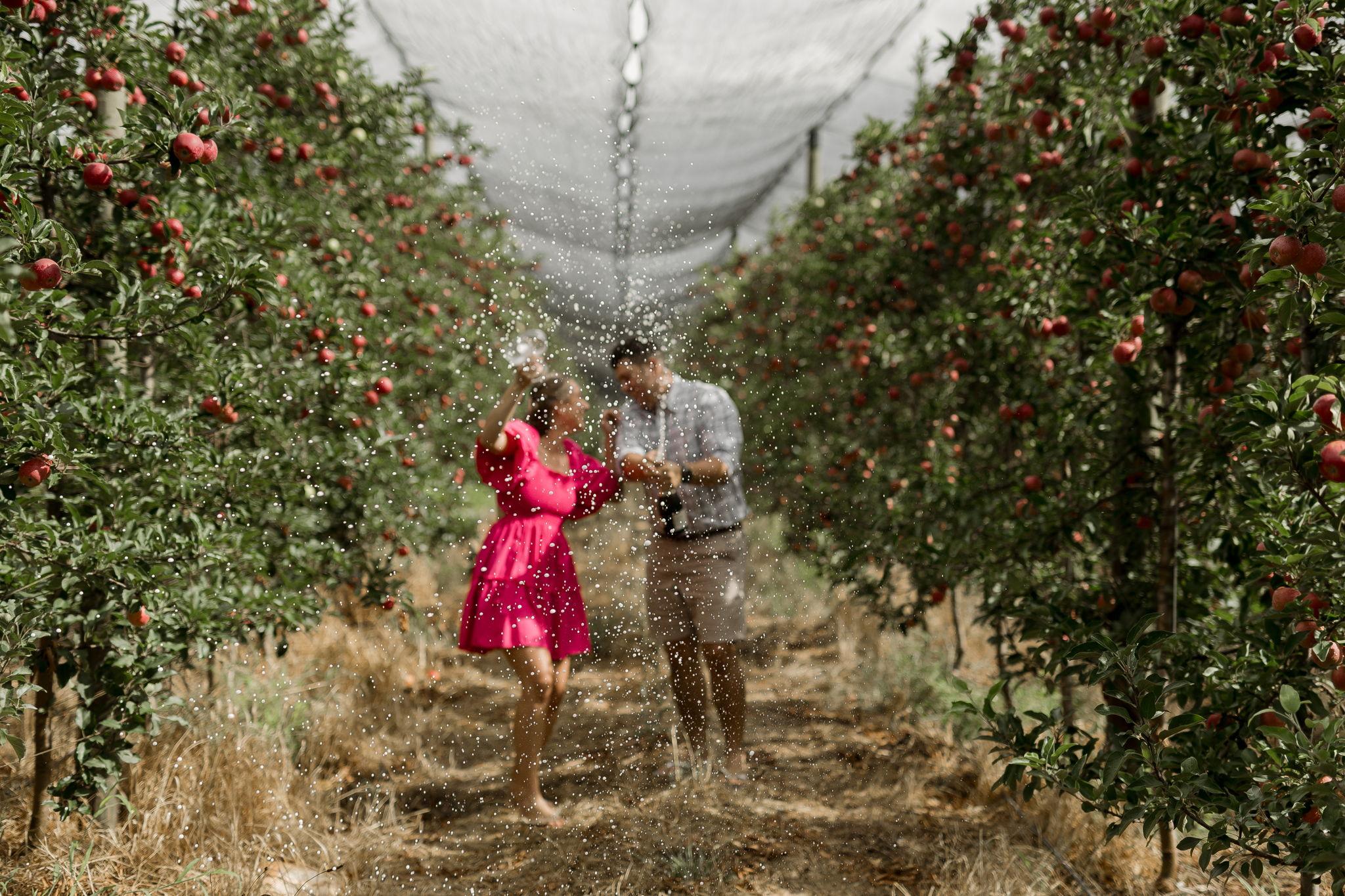 The Wedding Website of Marlie Viljoen and Francois Roos