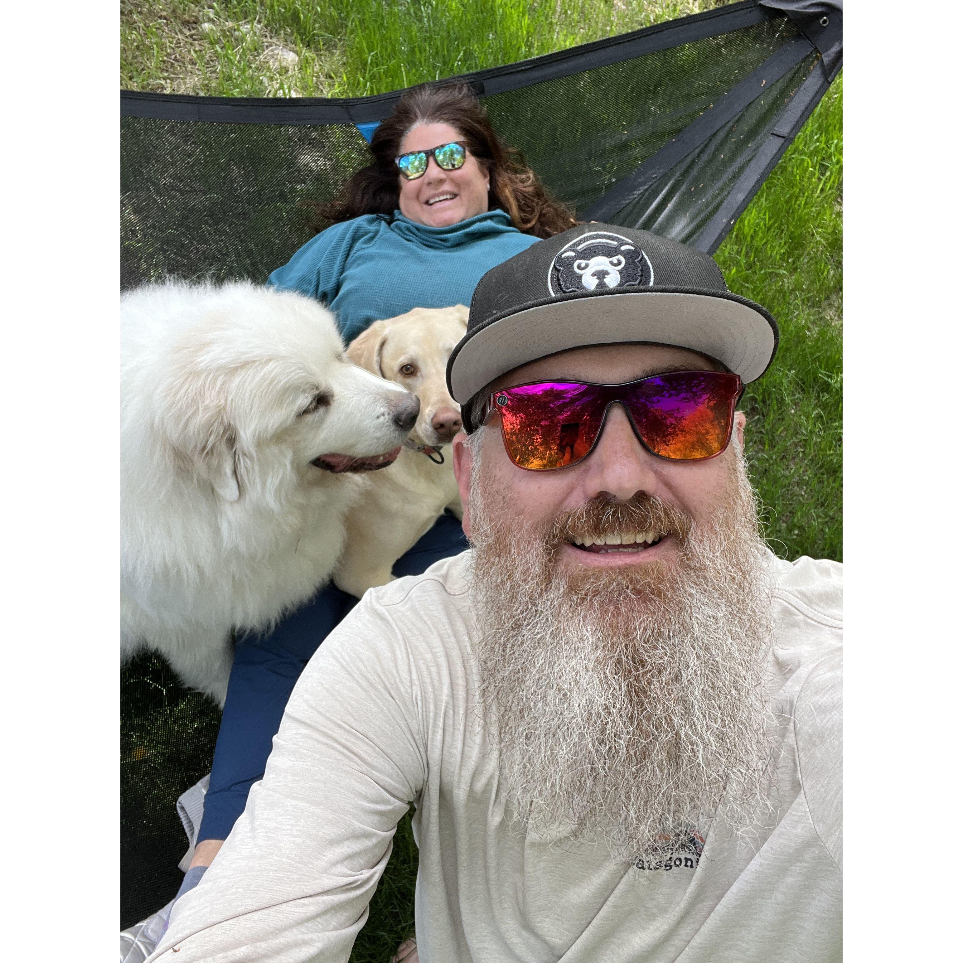 Lounging outside with the dogs in the summer of 2023