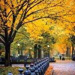 Central Park