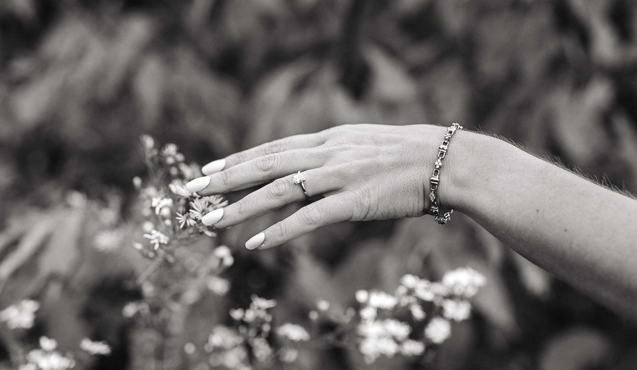 Hero Slideshow Image 5