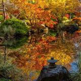 Gibbs Gardens