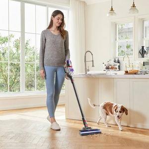 Dyson V8 Absolute - Cordless Vacuum (Silver/Nickel)