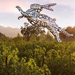 HALL Wines St. Helena