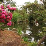 Point Defiance Park