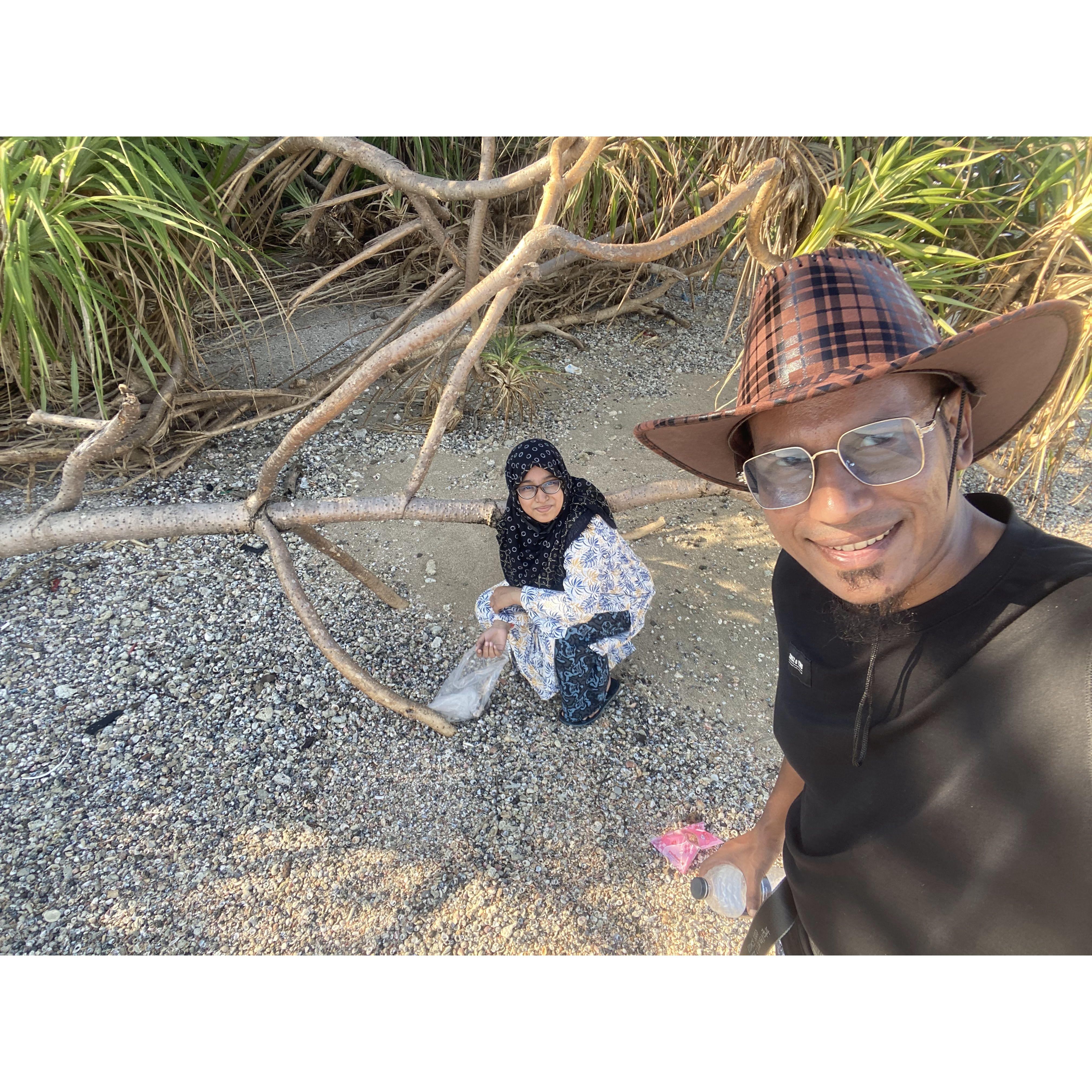 Collecting sea shell