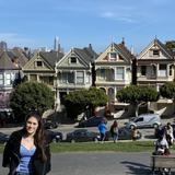 The Painted Ladies of Alamo Square