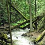 Margaret Falls