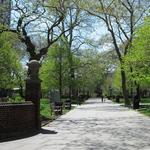 Washington Square