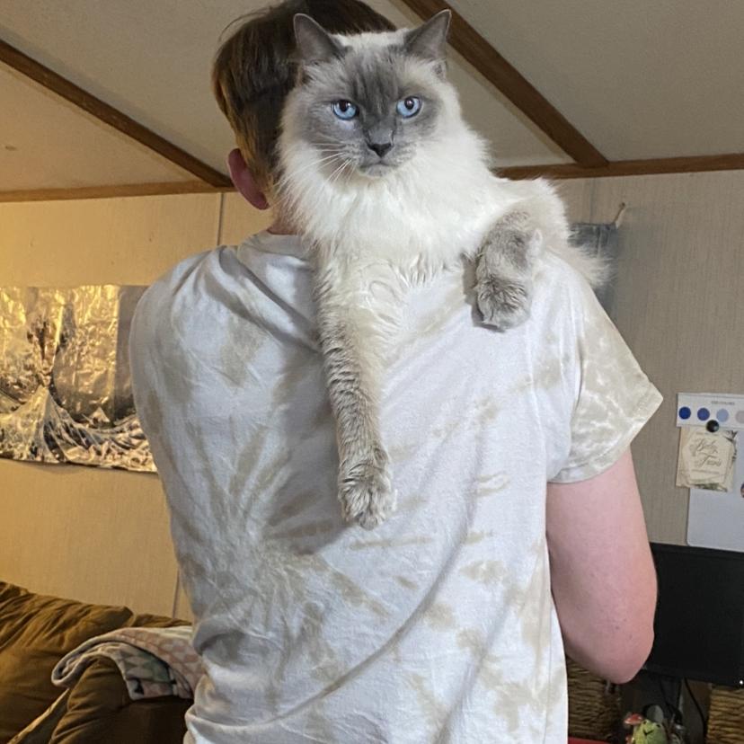 Crash again! Looking cute as always !