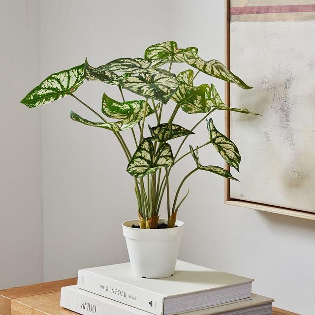 Faux Potted Caladium, 19in