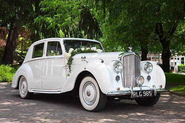 The Wedding Website of Anneliese Riedel Beaulieu and Jonathan Robert McMillen