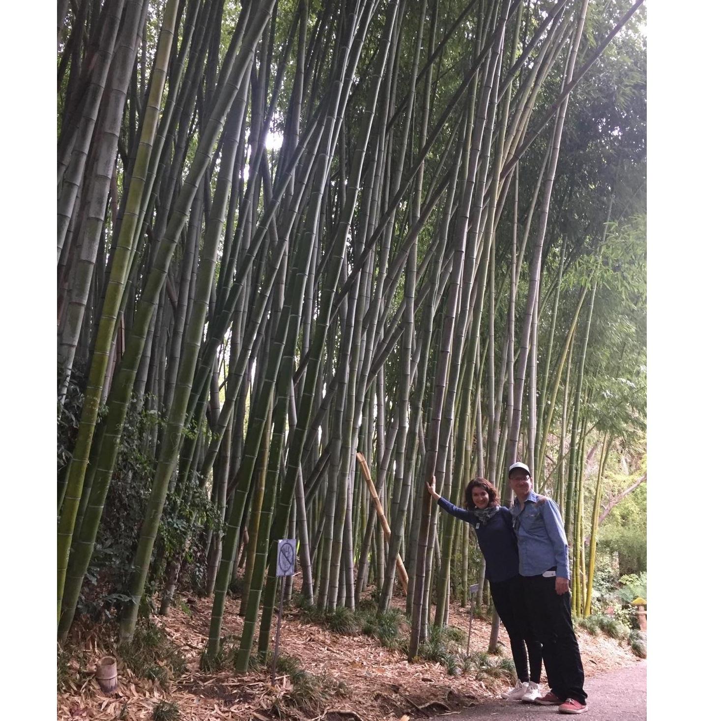 Huntington Botanical Gardens, Pasadena, CA