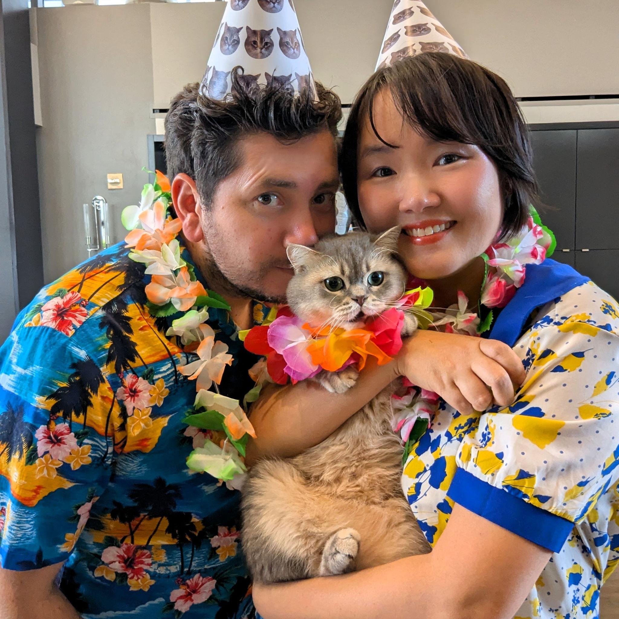 Sarang, the cat, the true wingman who solidified our love