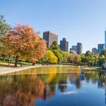 Boston Common & Boston Public Garden