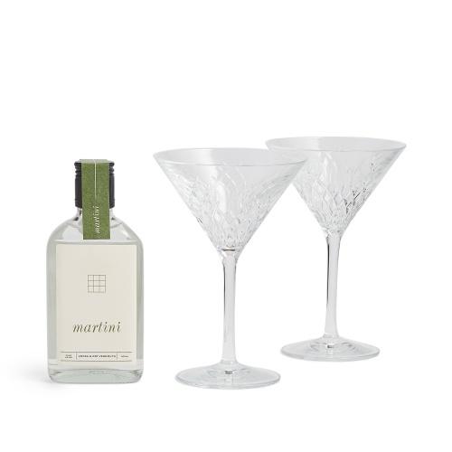 Barwell Martini Glass and Martini Cocktail Set