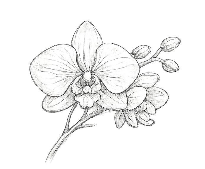 The Wedding Website of Mauricio Federico and María Fernanda