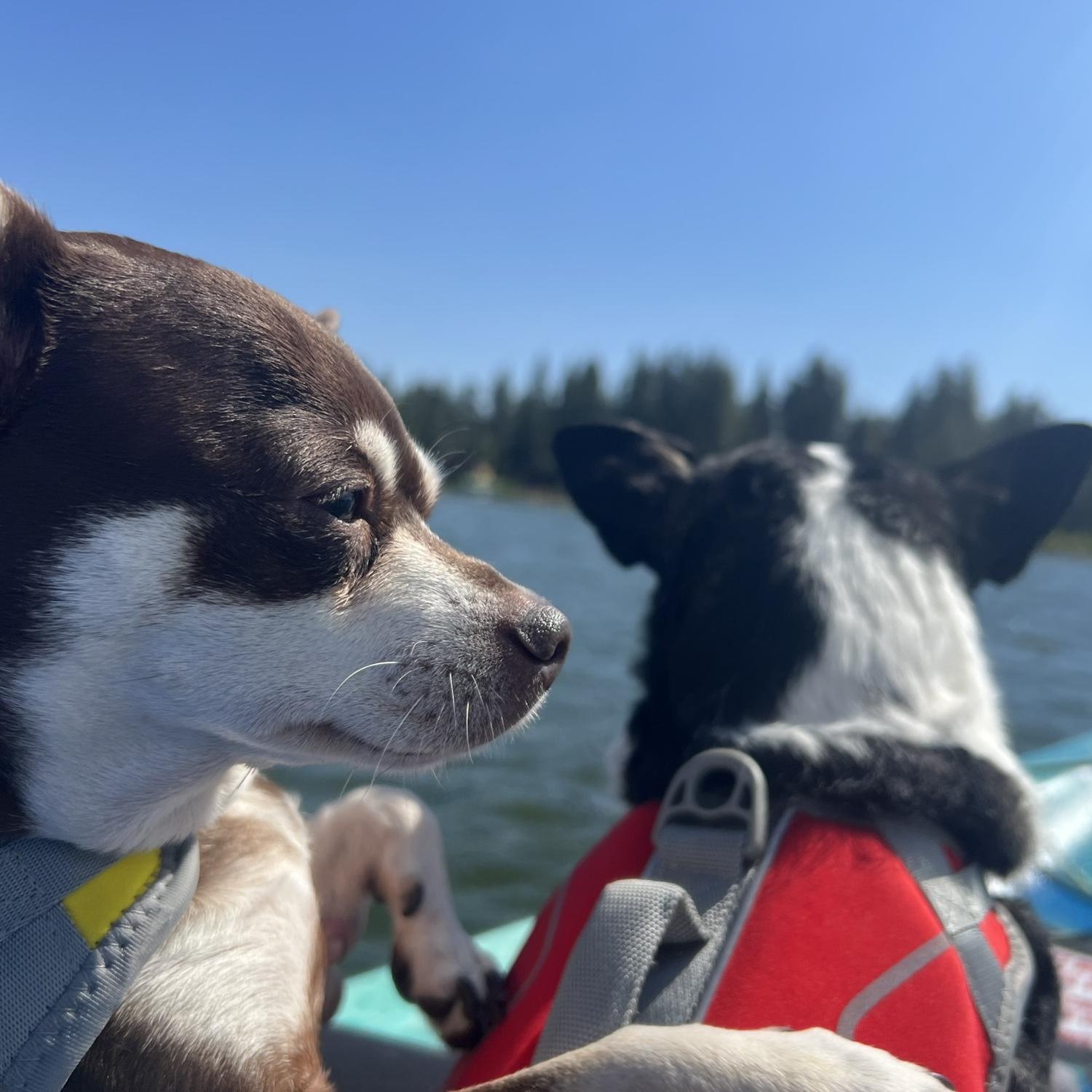 They hated it every minute of this.