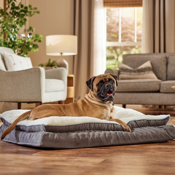 Plush Pillowtop Dog Bed w/Removable Cover(Grey/XXL)