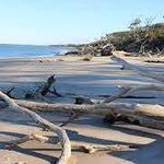 Big Talbot Island State Park